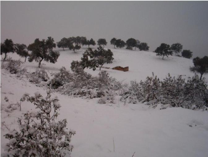 Casa Rural El Poleo Holiday home *