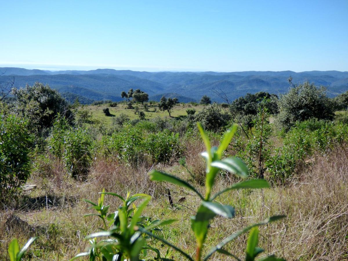 Holiday home Casa Rural El Poleo *