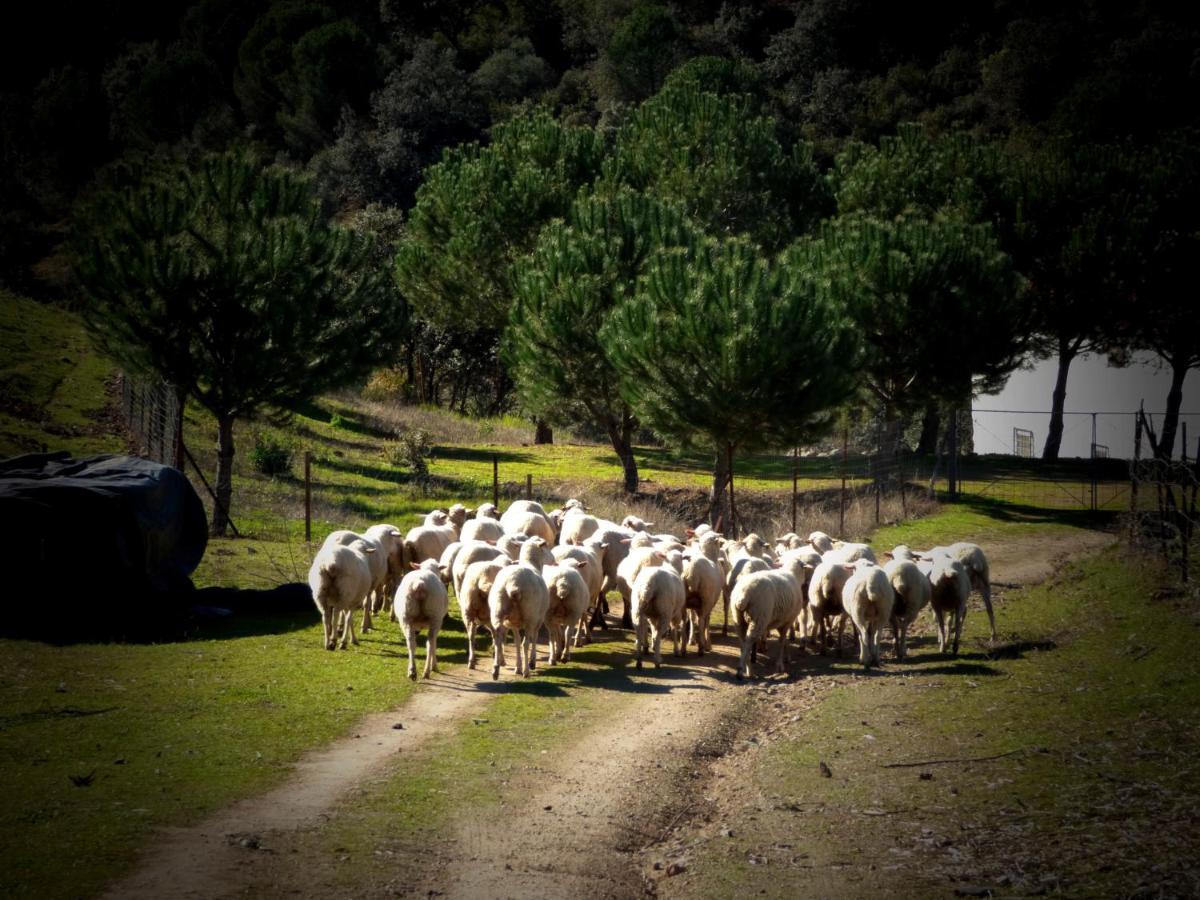 Casa Rural El Poleo Holiday home *