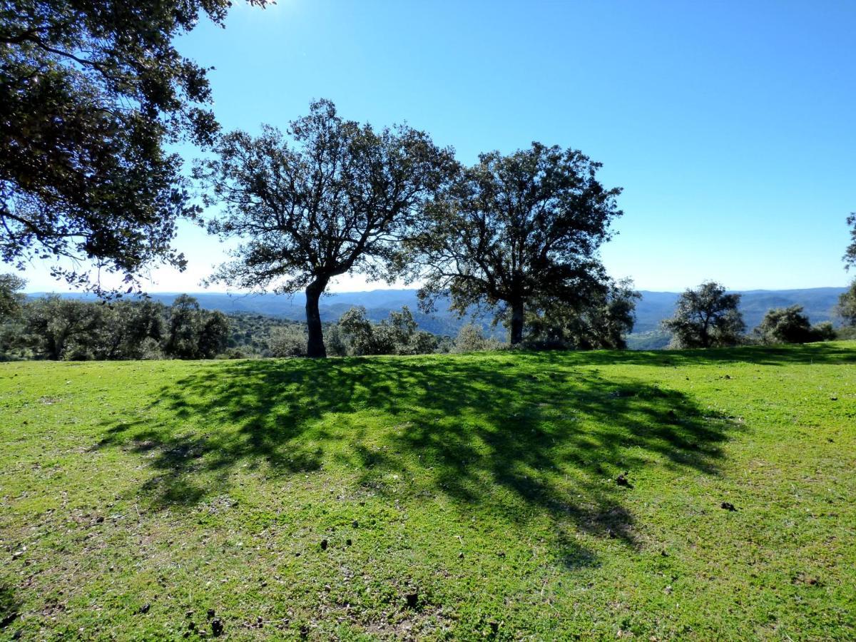 Holiday home Casa Rural El Poleo Villaviciosa de Cordoba