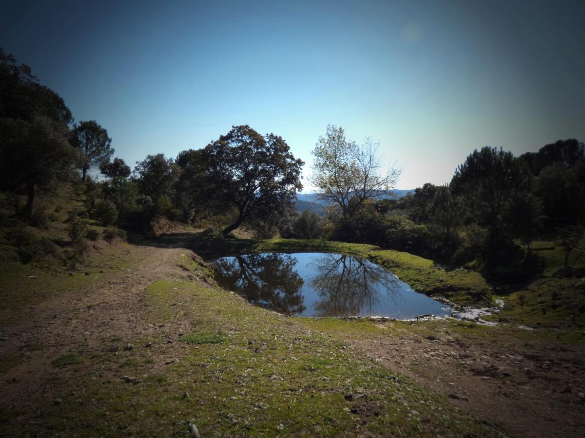 Holiday home Casa Rural El Poleo Villaviciosa de Cordoba